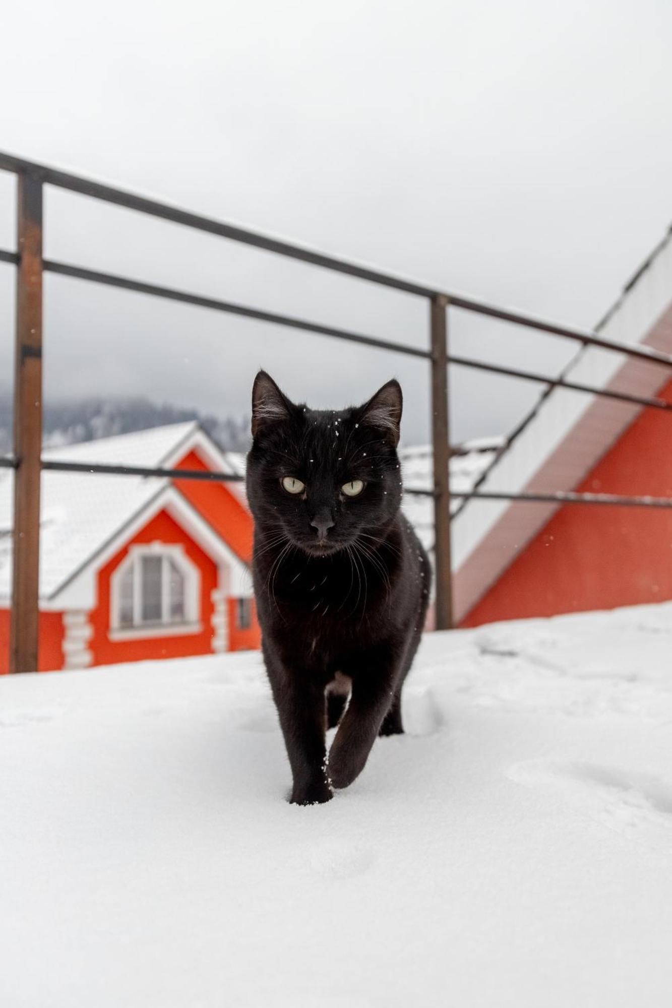 Дом Света - Tay-Village Besqaynar Esterno foto